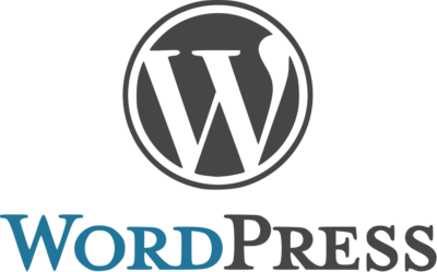 Gray and blue logo with the word "WordPress" written in a sans-serif font